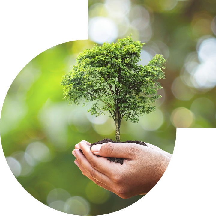 关怀人类、文化、环境与社会